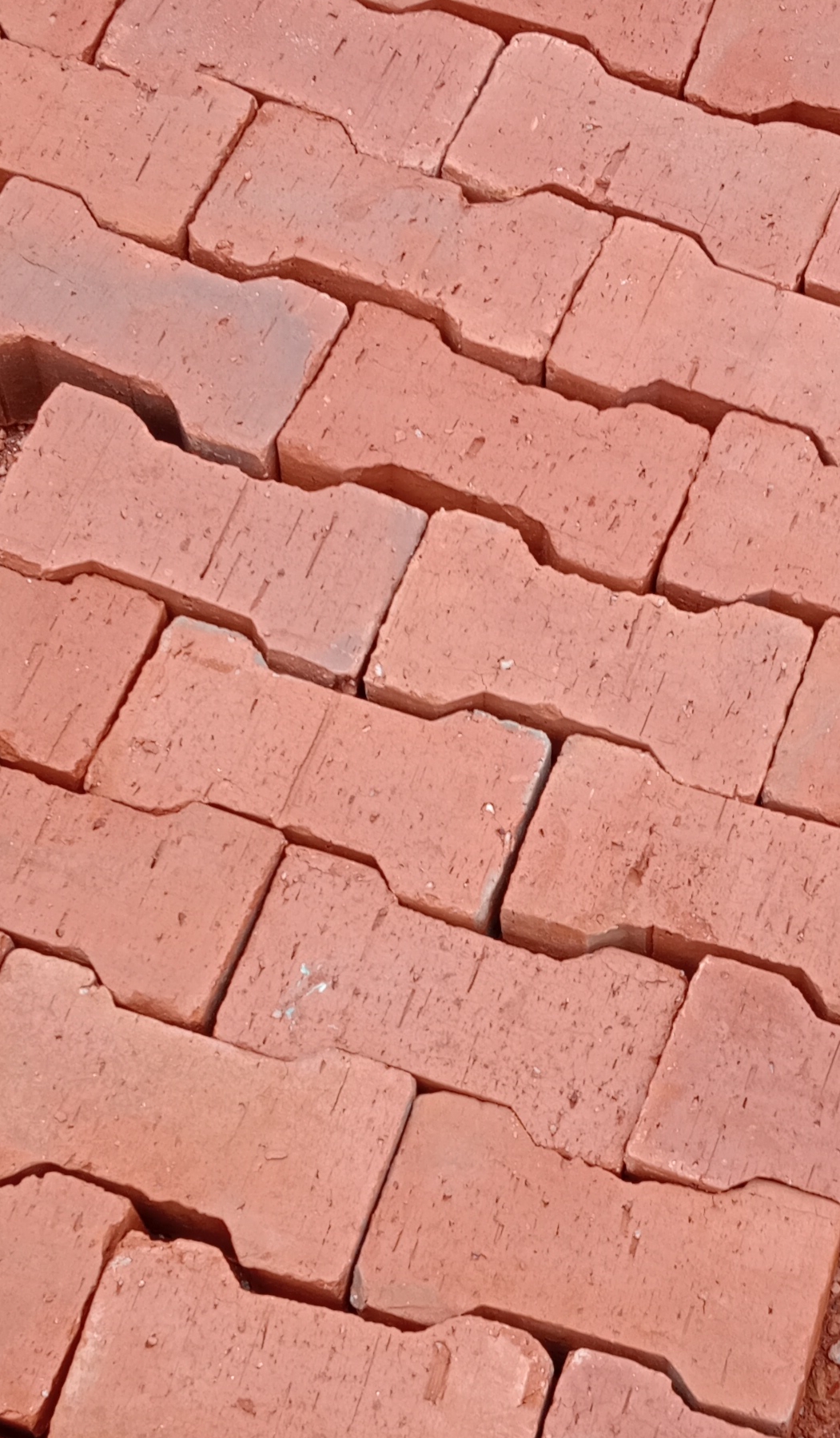 Clay Pavers