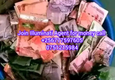 1000015228