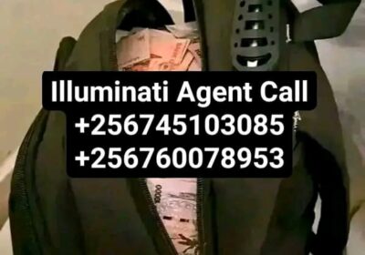 1000031568