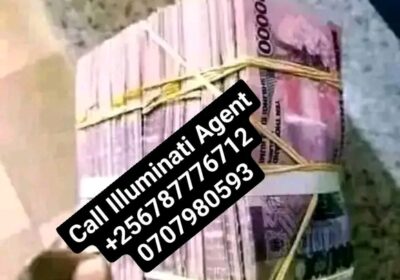 1746430178534-1