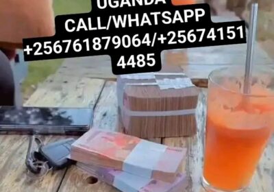 1748462762833