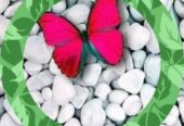 Women sexual dysfunction in Kampala+27 63 034 8600