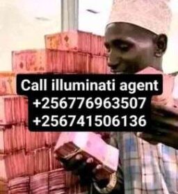 377393546-256-k675954