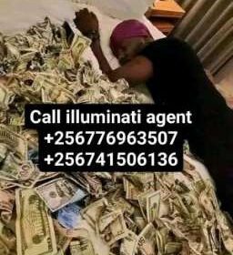 389274789-256-k559549
