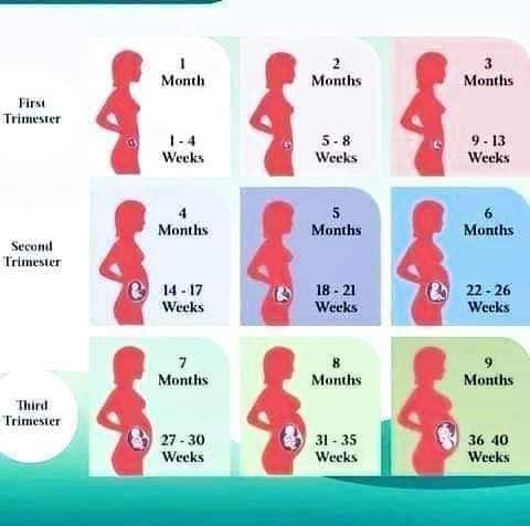 Abortion pills In Gaborone-Botswana+27 63 034 8600