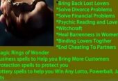 POWERFUL ATRADITIONAL HEALER+27734009912