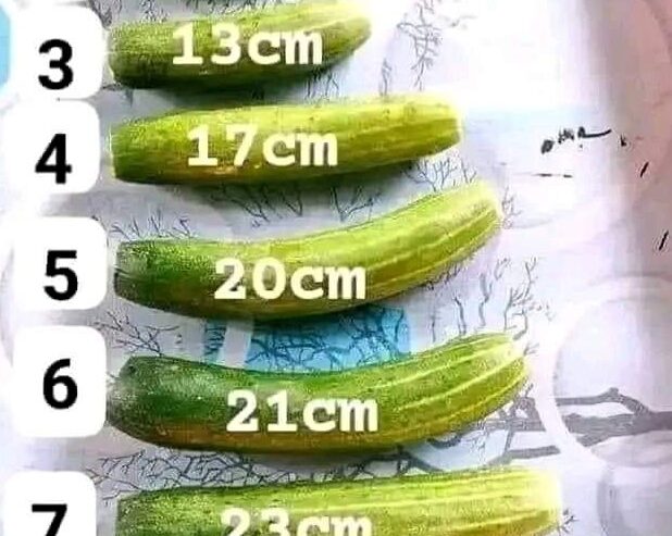 PENIS ENLARGEMENT IN MBALE+27 71 009 6483