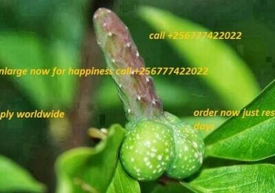 t33N74sy_400x400