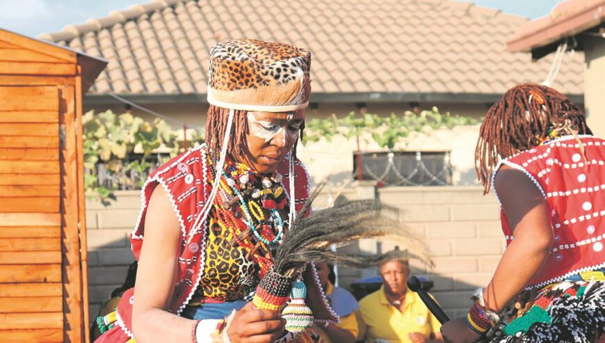 Modimolle, Zebediela, Senwabarwana, Dendron, Naboom , B