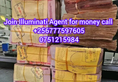1000015224