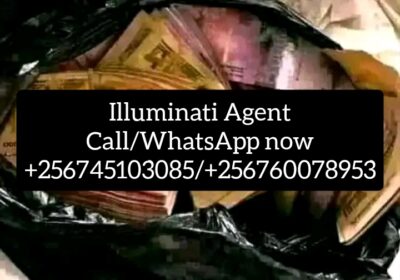 1000035682