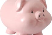 Short Term Loans Online Application Process without Che