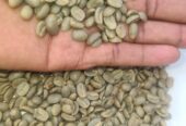 Green Coffee beans (Arabica Coffee)+27719755564