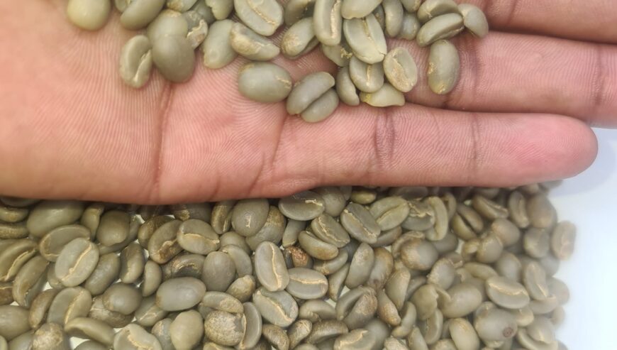 Green Coffee beans (Arabica Coffee)+27719755564