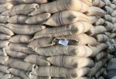 top-quality Ugandan coffee beans +27719755564