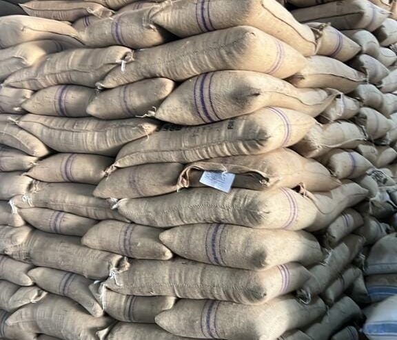top-quality Ugandan coffee beans +27719755564