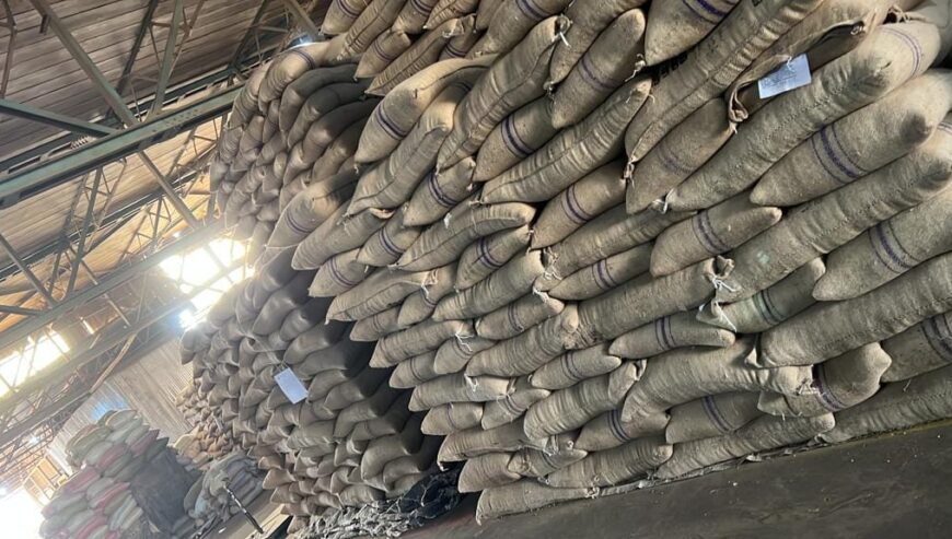 Green Coffee beans (Arabica Coffee)+27719755564
