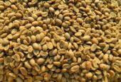 top-quality Ugandan coffee beans +27719755564