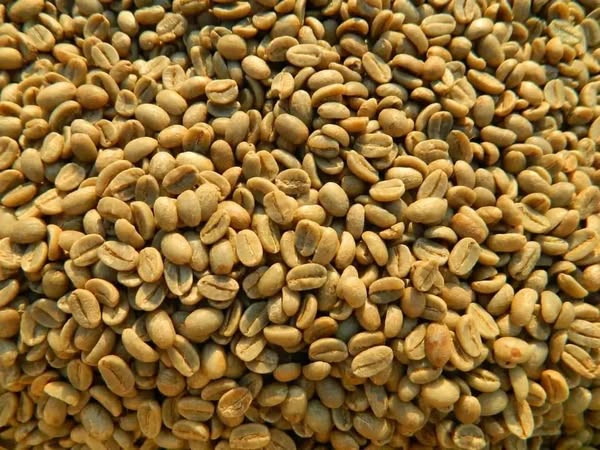 top-quality Ugandan coffee beans +27719755564