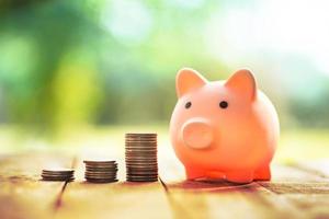 Fast Cash Loans Online: A 15-Minute Online Approval Pro