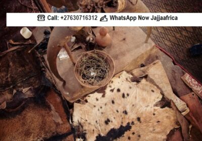 Best-Spiritual-and-Traditional-Healer-online