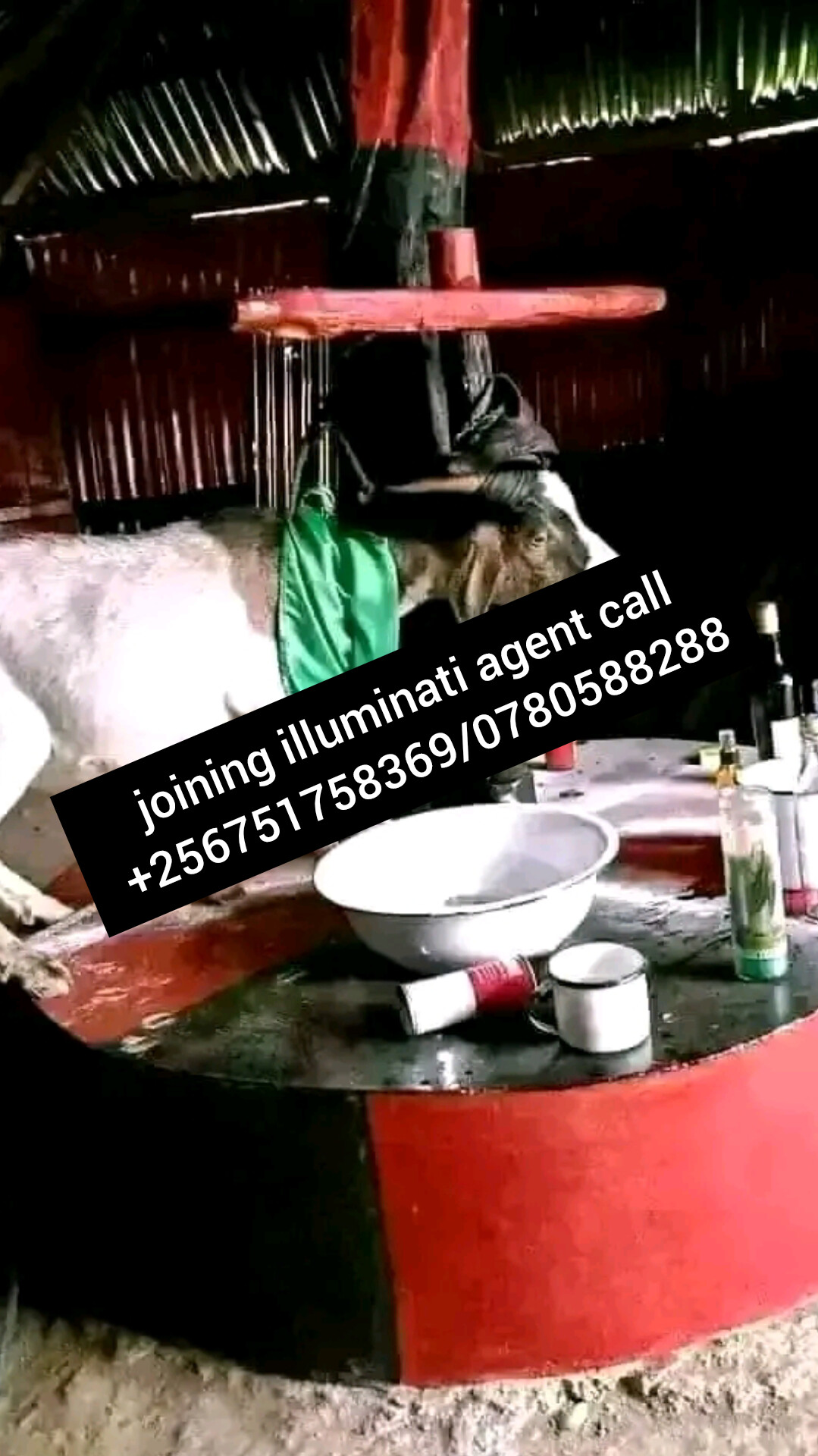 True 666illuminati Uganda call +256751758369