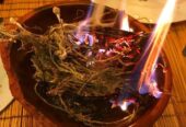 herbalist healer astrologer and spells caster on +25677