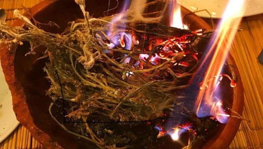 herbalist healer astrologer and spells caster on +25677