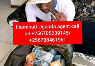 1000000238
