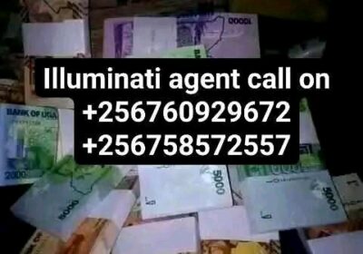 1000000702