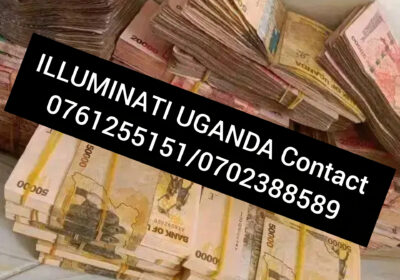1000001299