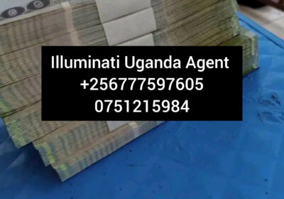 1000001665-1