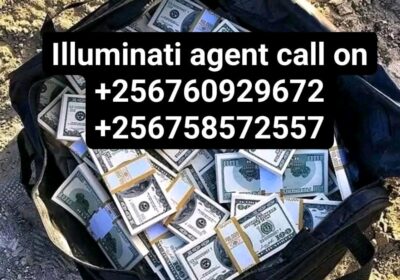 1000063369-2