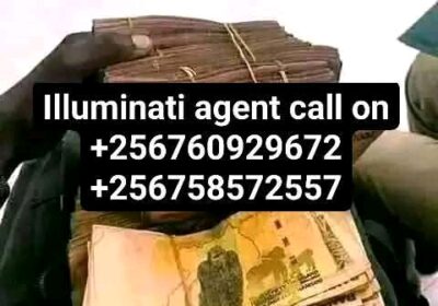 1000063377-3
