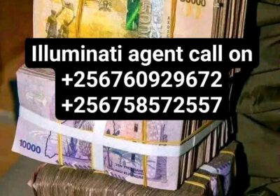 1000063381
