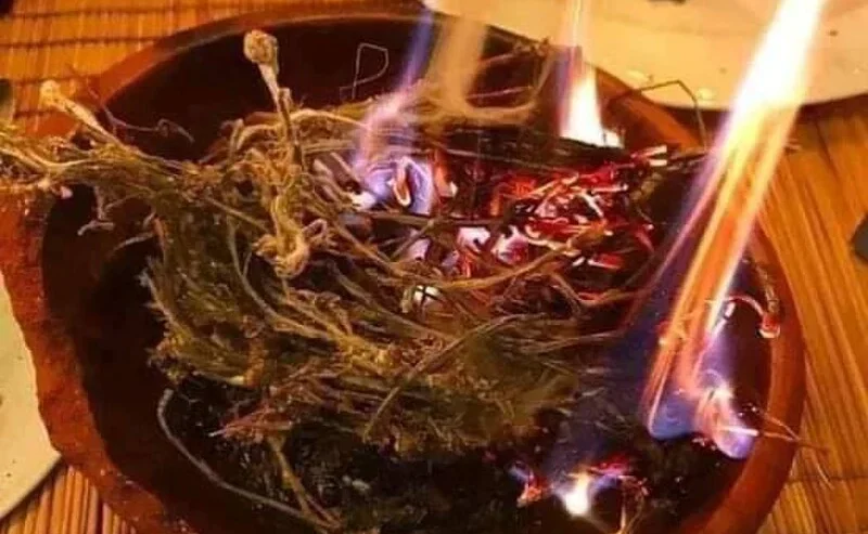 New york+256774365857 traditional healers, bring back
