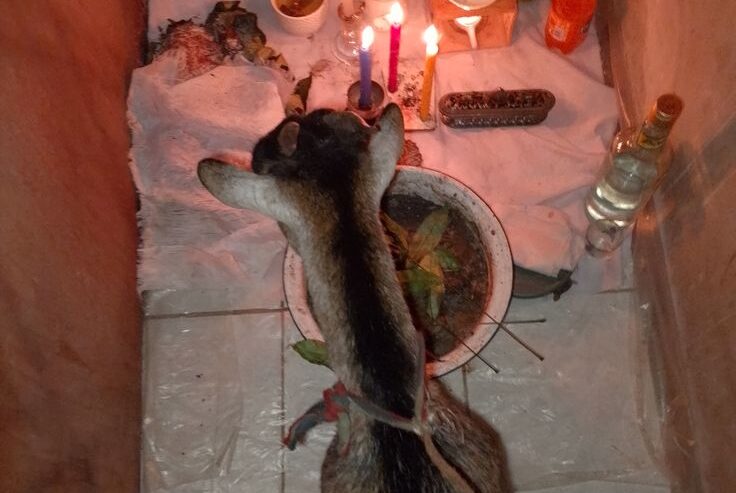 {+2349027025197} join occult for money ritual ®™