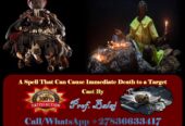 Top 10 Death Spells That Work Overnight +27836633417