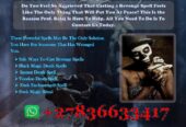Top 10 Death Spells That Work Overnight +27836633417