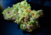 Telegram:@siver349 Weed delivery online near Romania