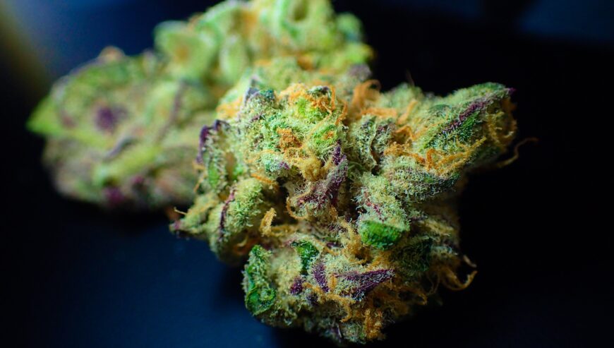 Telegram:@siver349 Weed delivery online near Romania