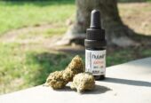 Telegram:@siver349 Weed delivery online near Romania