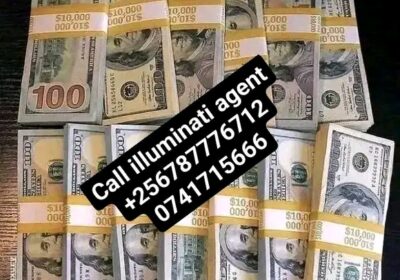 1000049047