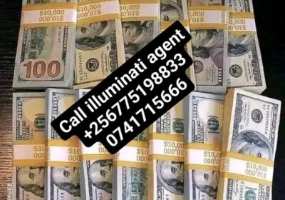 1751123855622-1