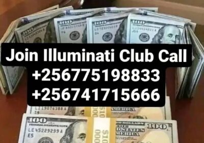 1755082406601-1
