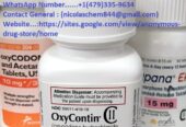 Buy Peptides for Scientific Research