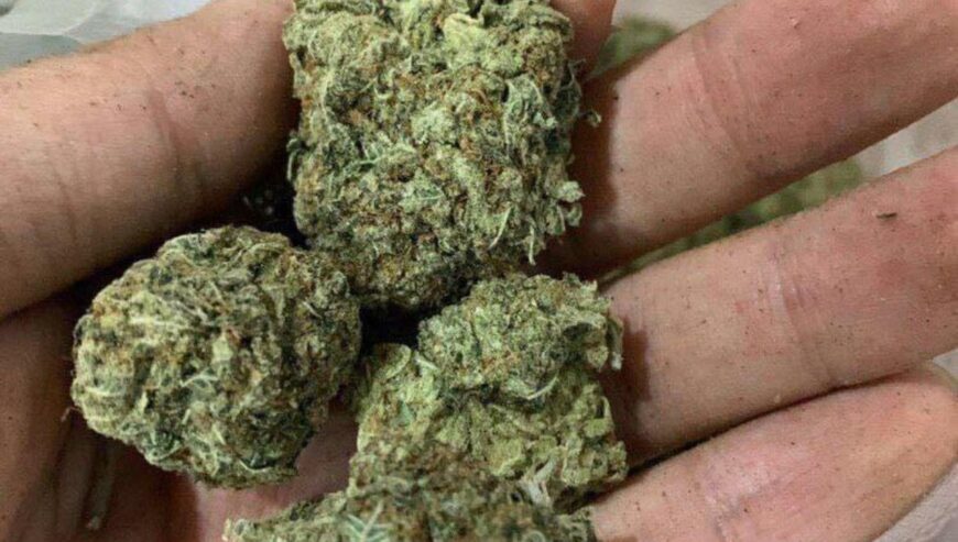 WhatsApp +12253024741 Buy weed in Riyadh