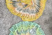 fake banknotes for sale and clone cards online